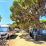 Zecamping 3 Etoiles Anime - Proximite Directe Plages De La Costa Brava * Platja d'Aro