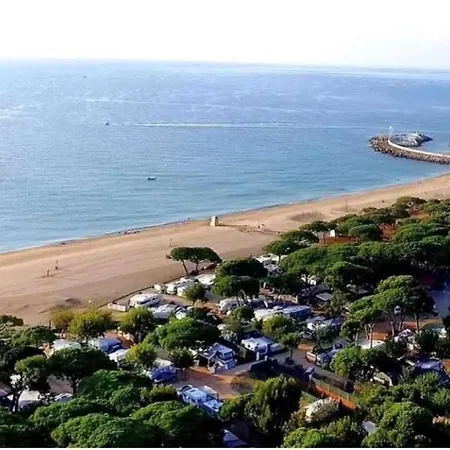 Zecamping 3 Etoiles Anime - Proximite Directe Plages De La Costa Brava 캠프장