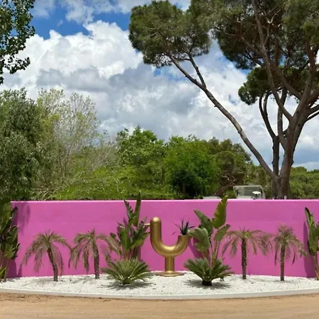 Zecamping 3 Etoiles Anime - Proximite Directe Plages De La Costa Brava * 플라티야 다로