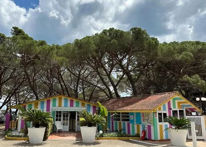 Kamp alanı 3 Etoiles - Ccaaebb Platja d'Aro