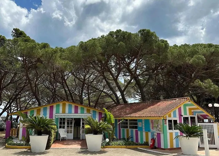 3 Etoiles - Ccaaebb *